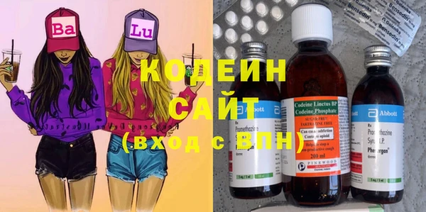стаф Алзамай