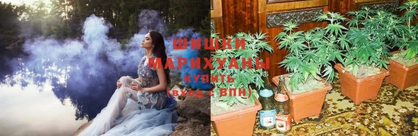 эйфоретик Абинск