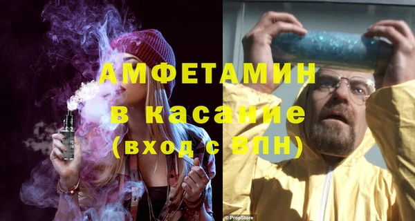 стаф Алзамай