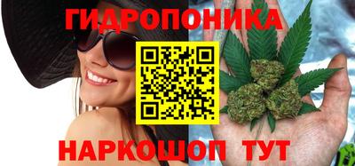 шишки Коммунар