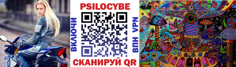 МЕГА ТОР Фурманов Псилоцибиновые грибы Psilocybine cubensis