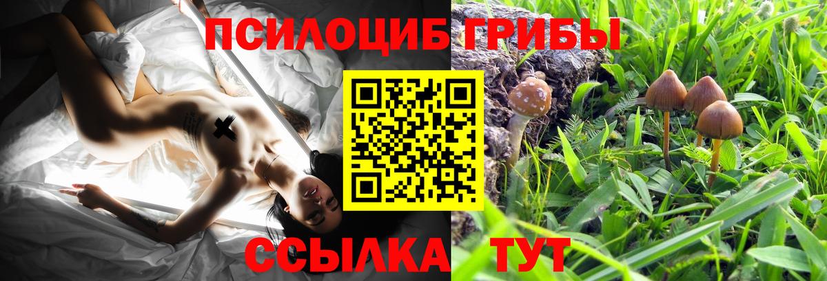 Фурманов  Галлюциногенные грибы MAGIC MUSHROOMS  Вход с VPN 